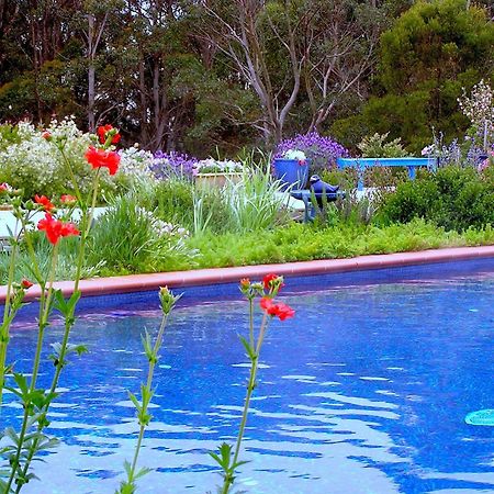 Lemonade Creek Cottages Lorne Exteriör bild