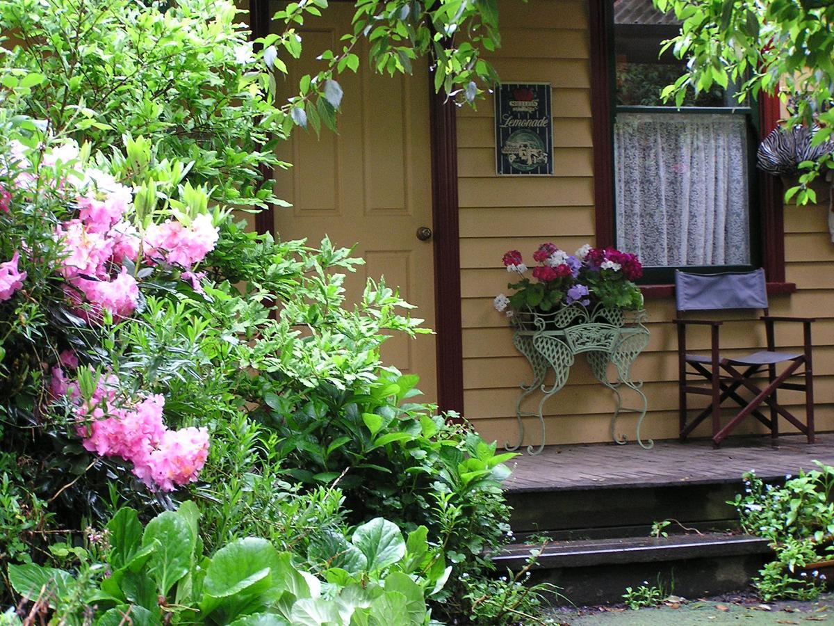 Lemonade Creek Cottages Lorne Exteriör bild