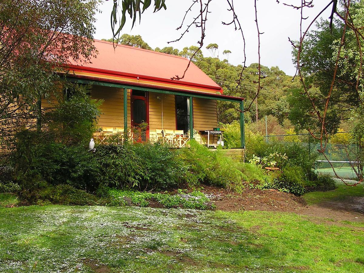 Lemonade Creek Cottages Lorne Exteriör bild