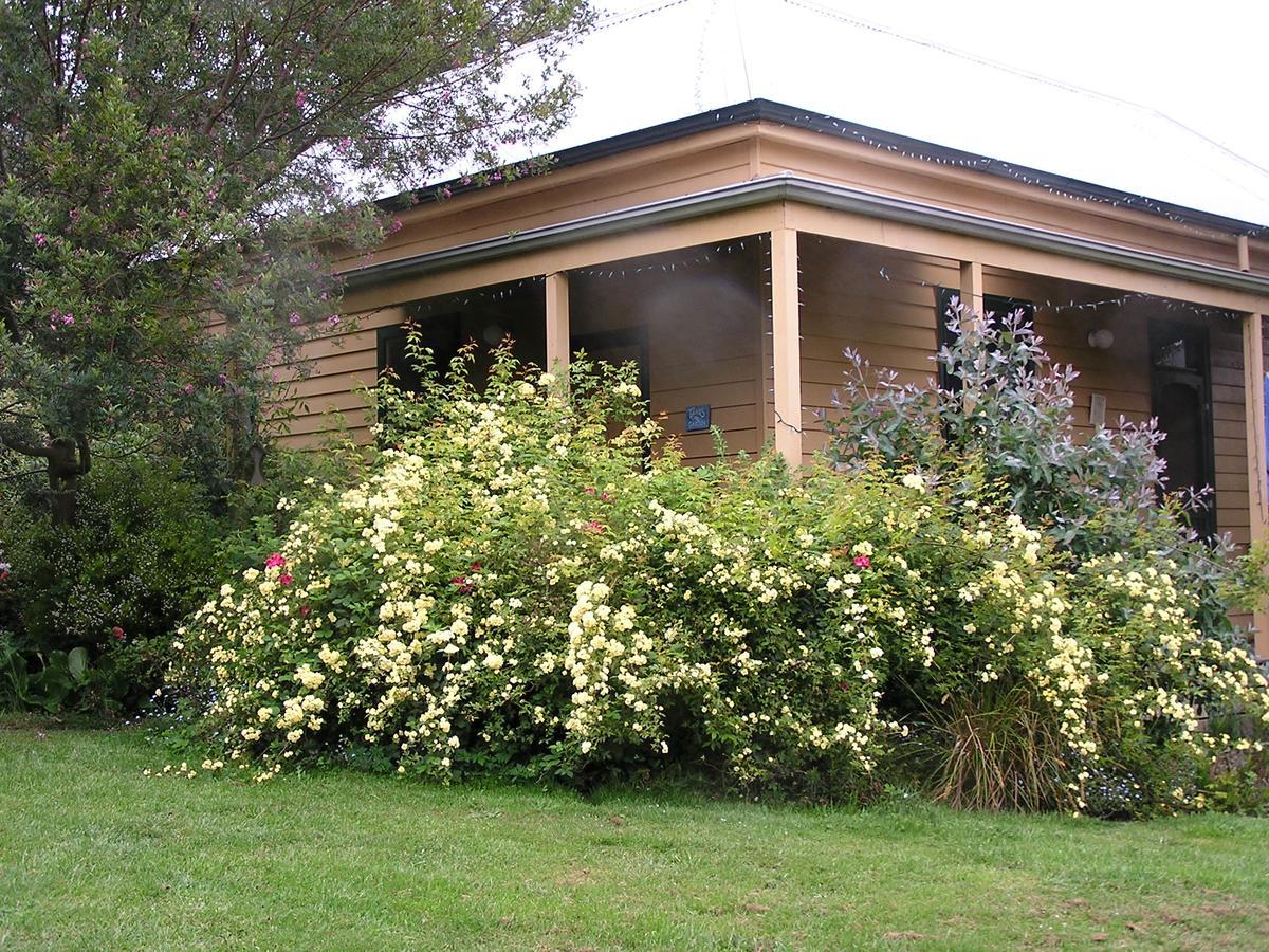 Lemonade Creek Cottages Lorne Exteriör bild