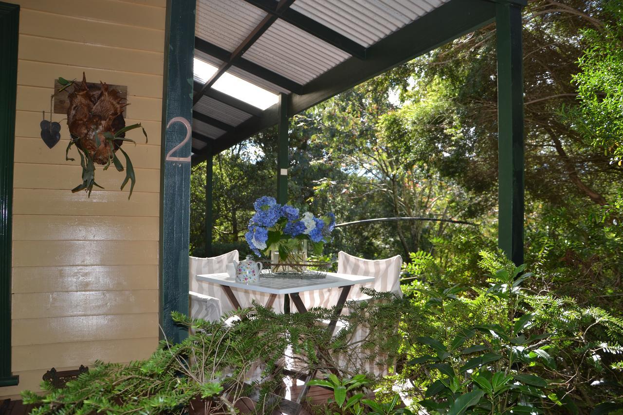 Lemonade Creek Cottages Lorne Exteriör bild