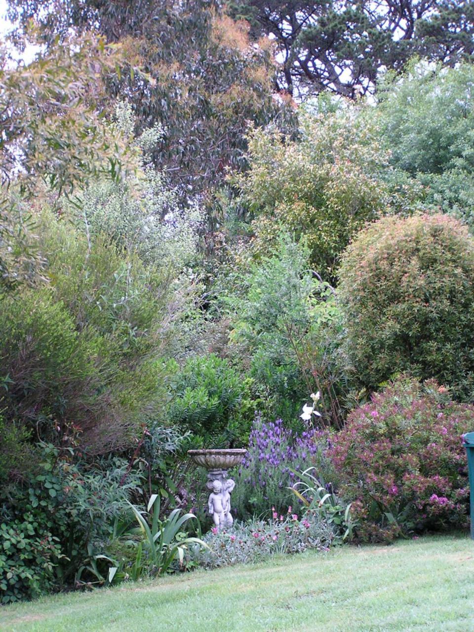 Lemonade Creek Cottages Lorne Exteriör bild