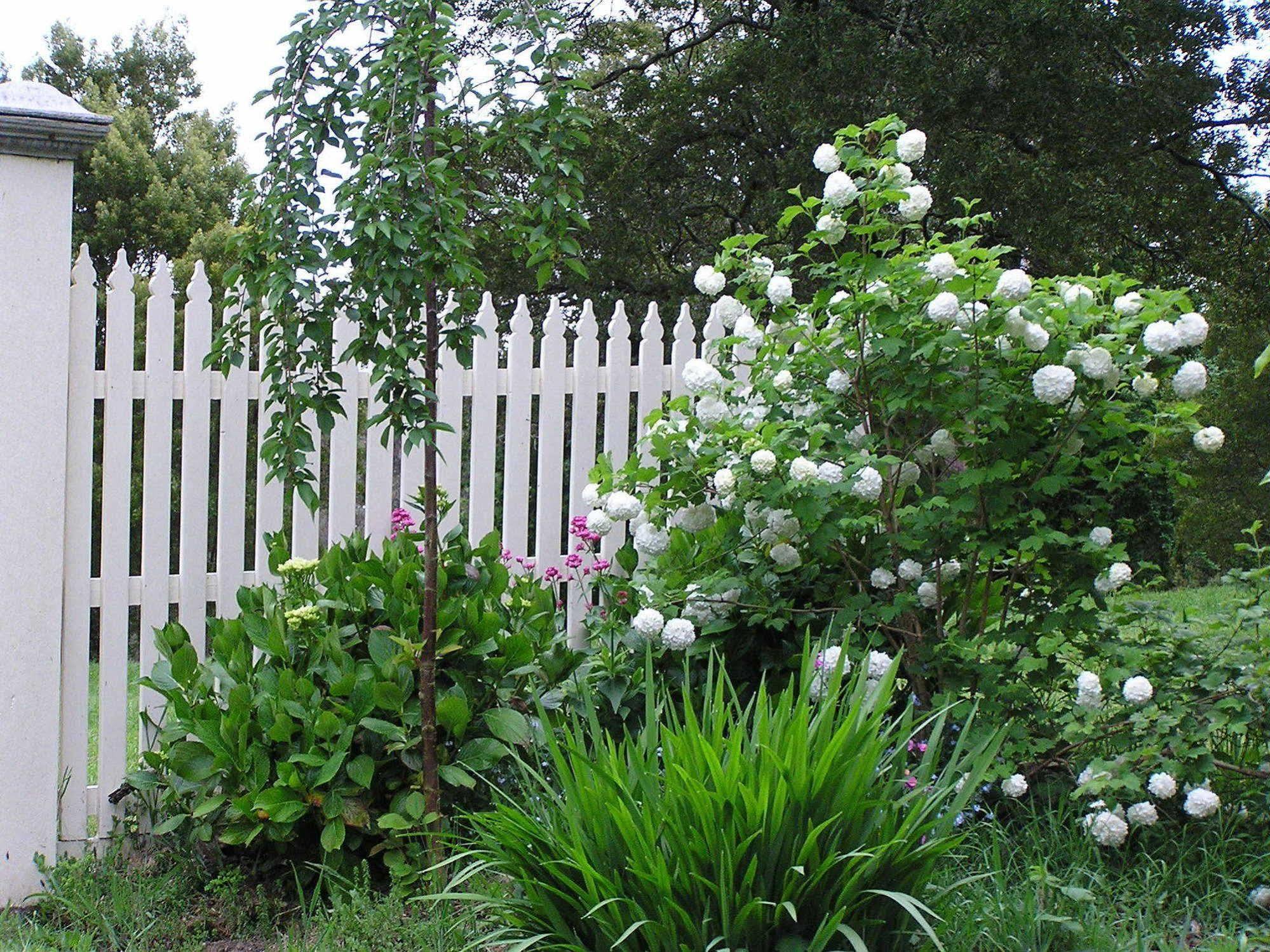 Lemonade Creek Cottages Lorne Exteriör bild