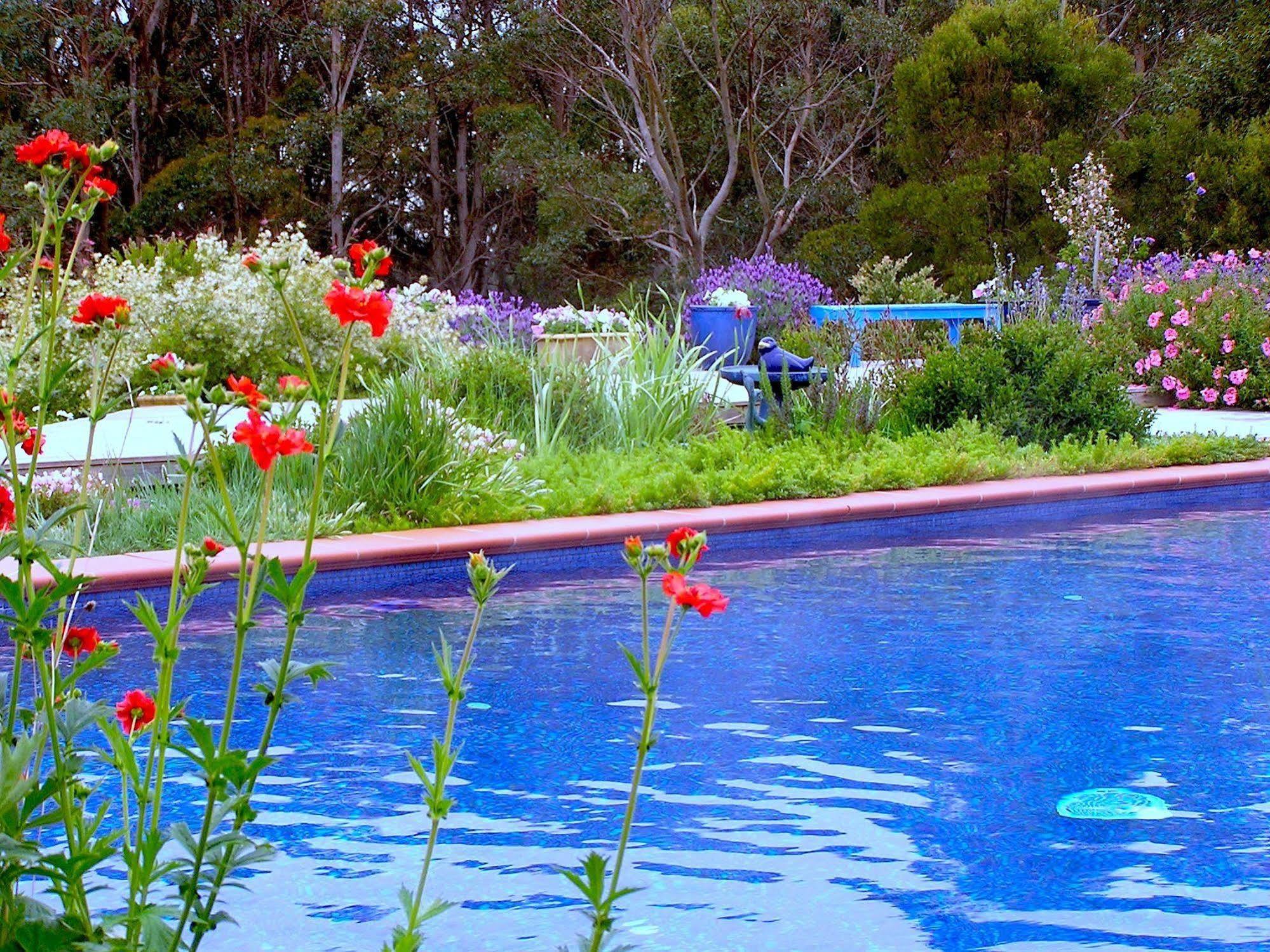 Lemonade Creek Cottages Lorne Exteriör bild