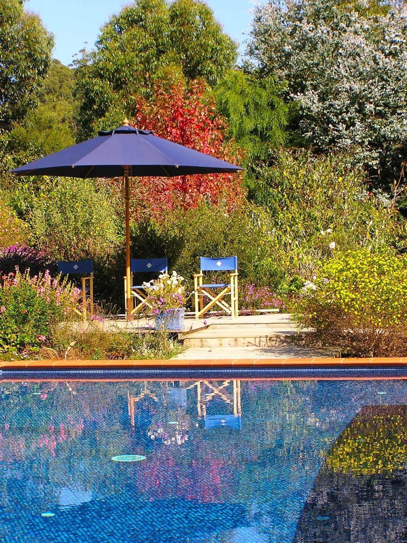 Lemonade Creek Cottages Lorne Exteriör bild