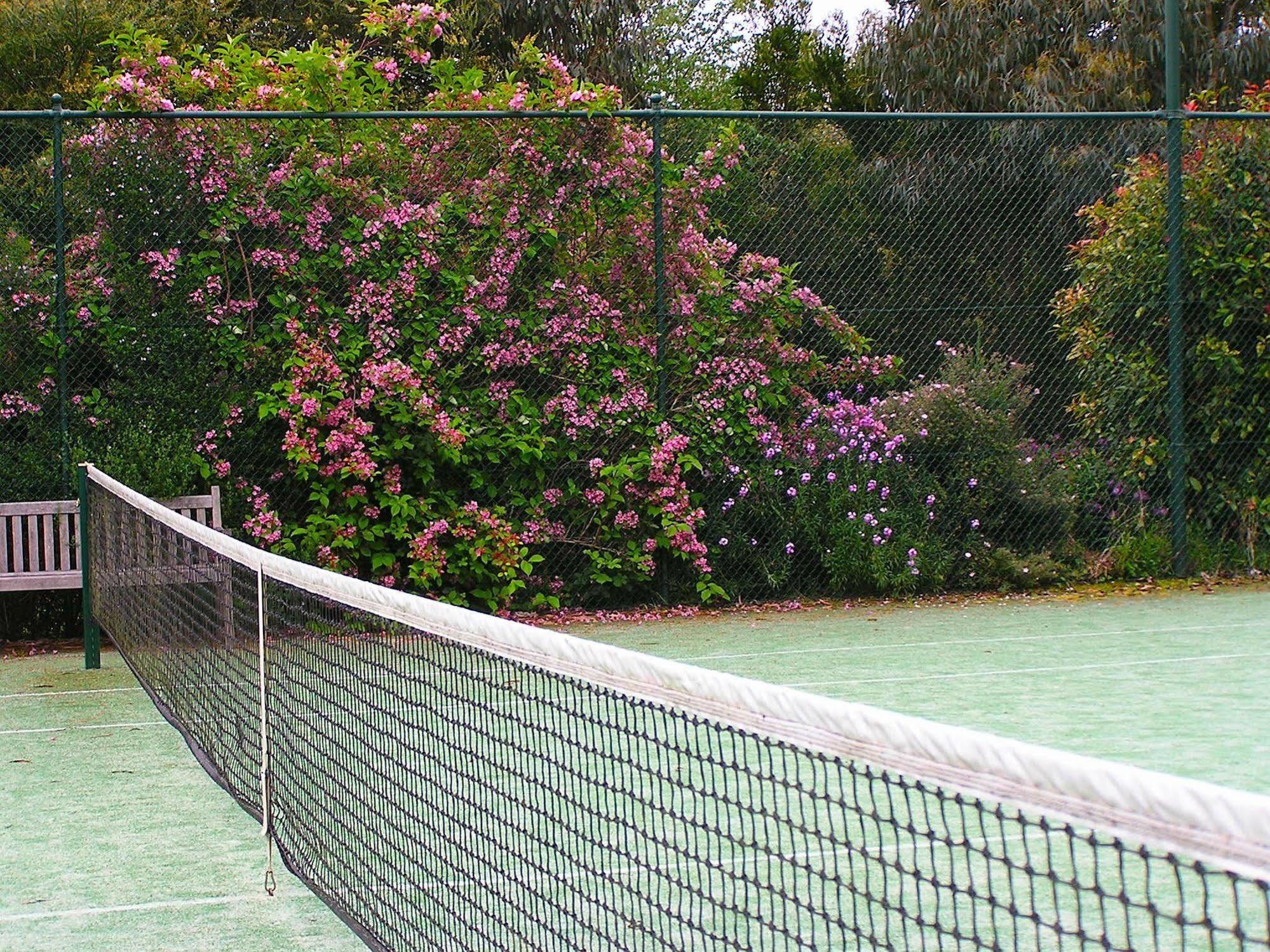 Lemonade Creek Cottages Lorne Exteriör bild