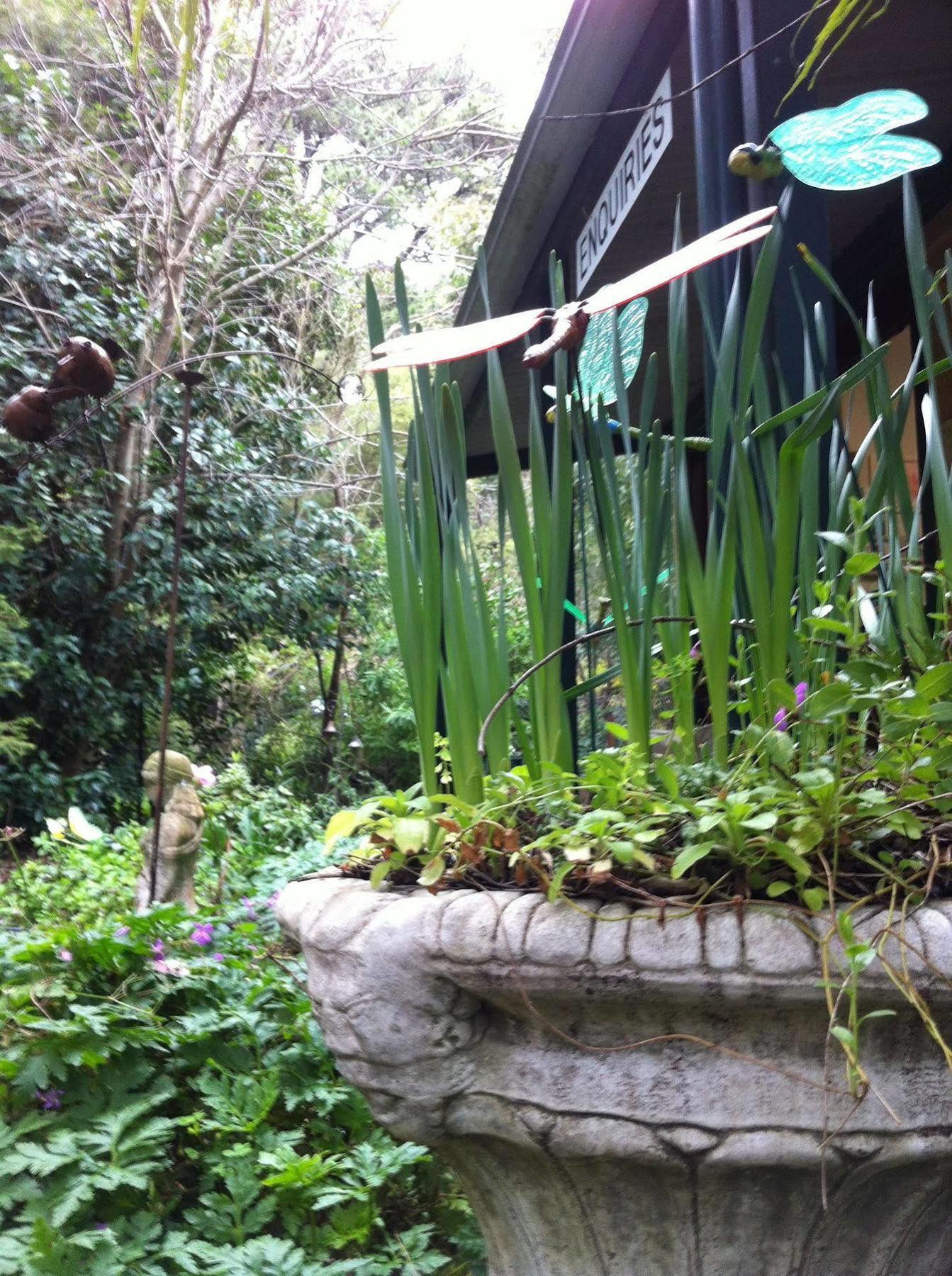 Lemonade Creek Cottages Lorne Exteriör bild