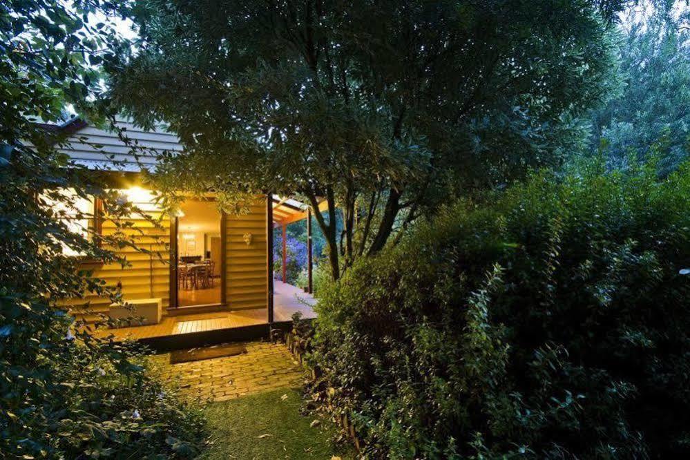 Lemonade Creek Cottages Lorne Exteriör bild