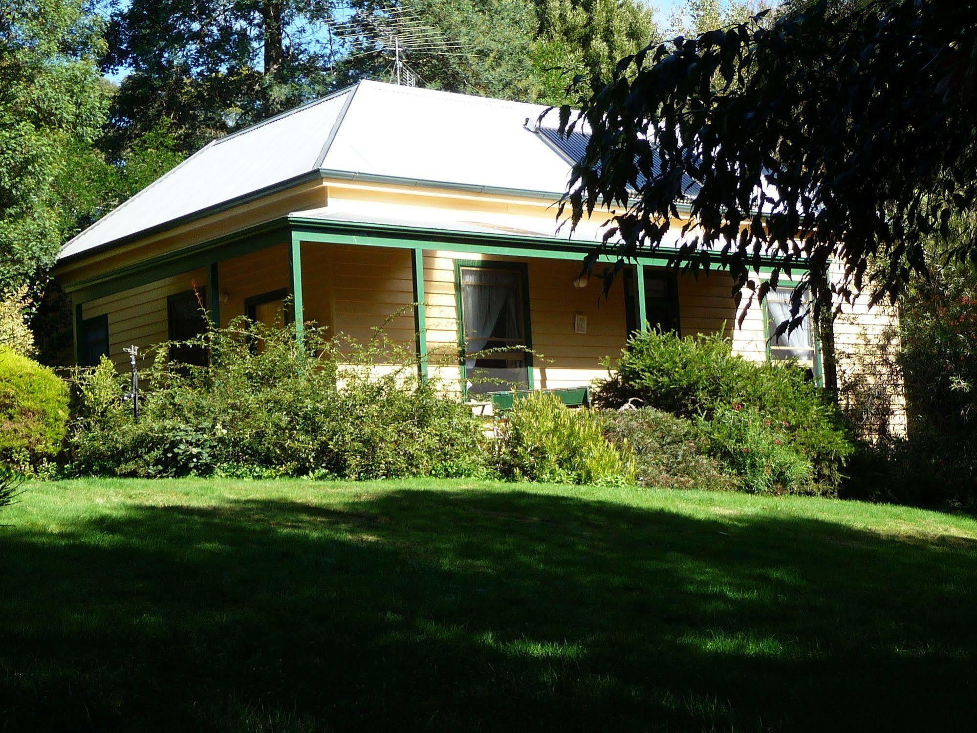 Lemonade Creek Cottages Lorne Exteriör bild