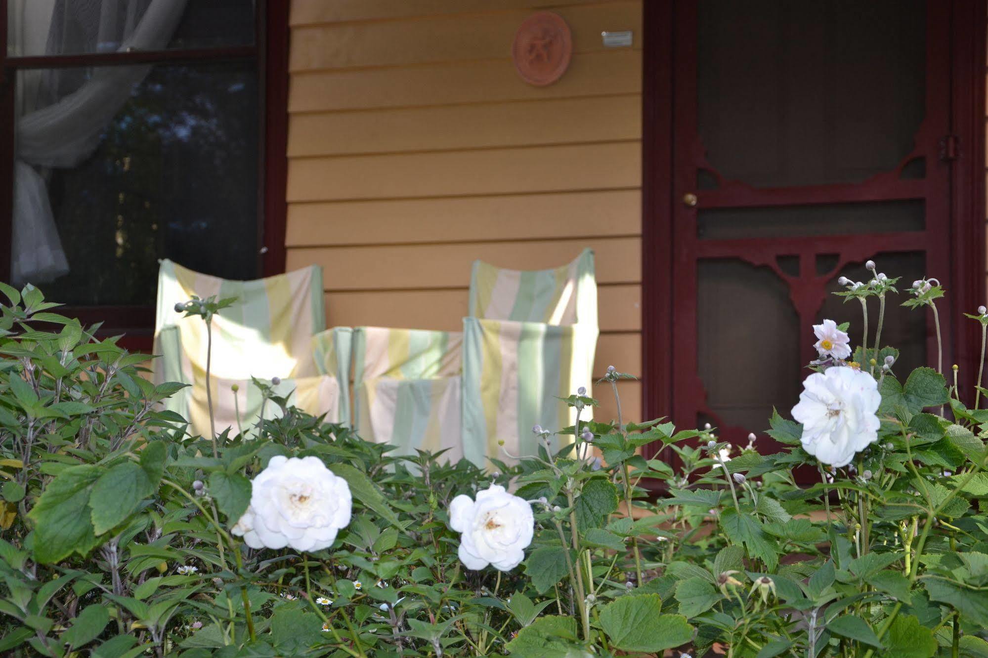 Lemonade Creek Cottages Lorne Exteriör bild