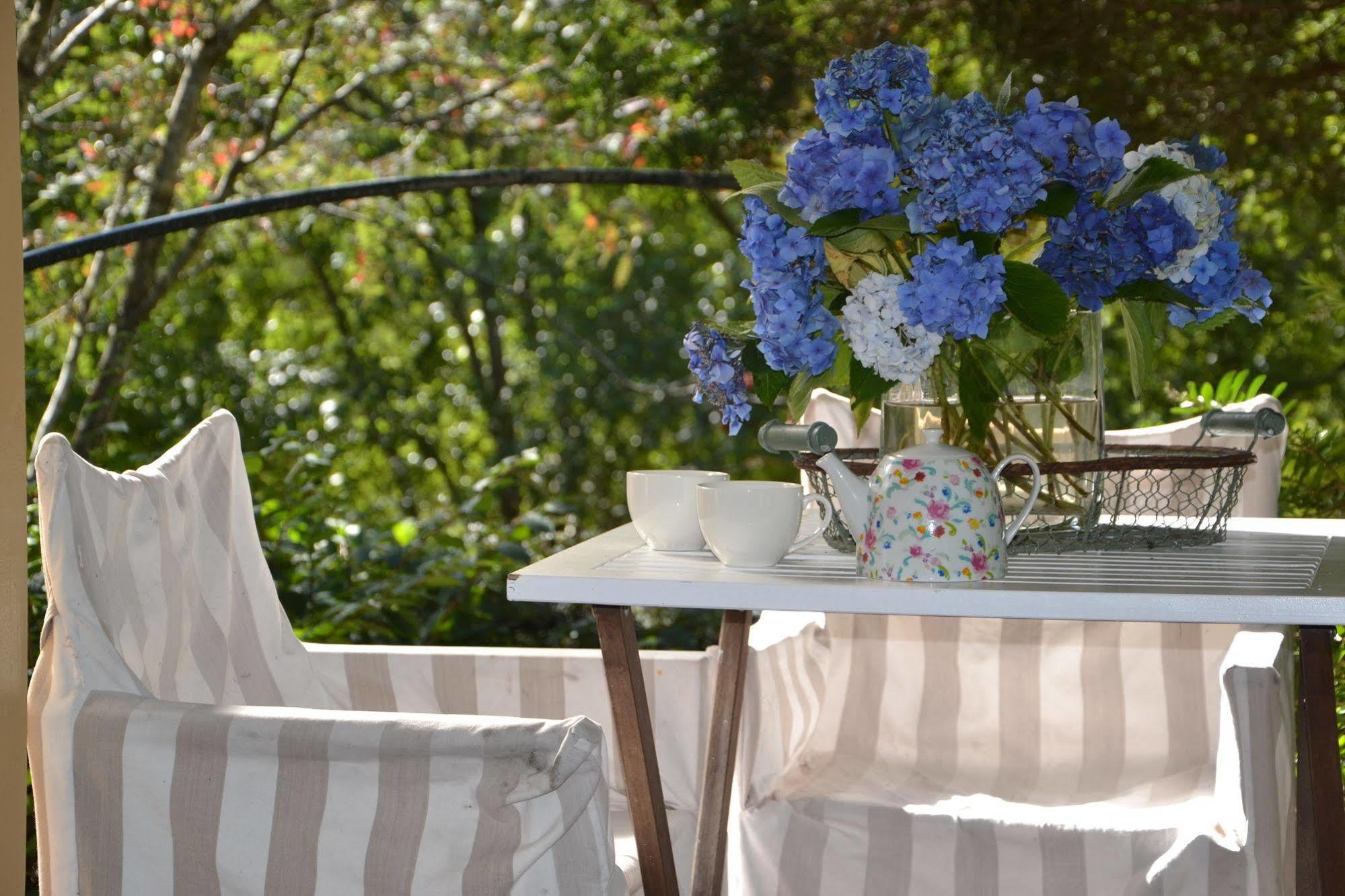Lemonade Creek Cottages Lorne Exteriör bild